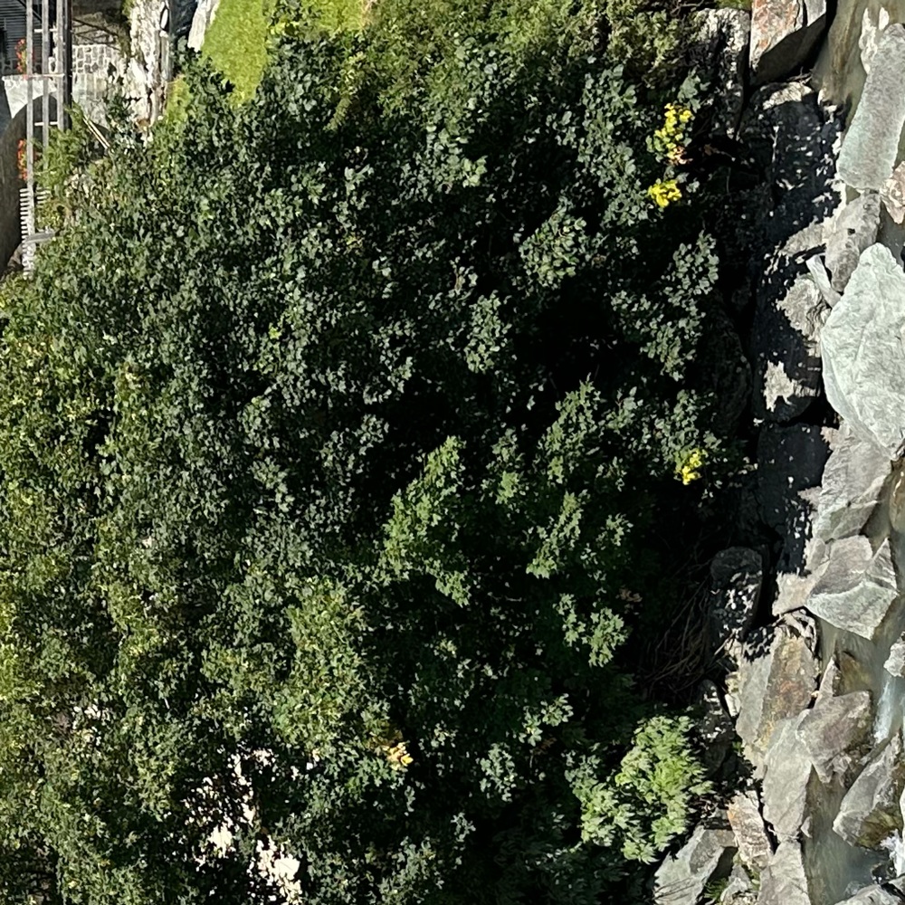 Wore It Once, In Perfect Condition , Super Stretc… - image 2